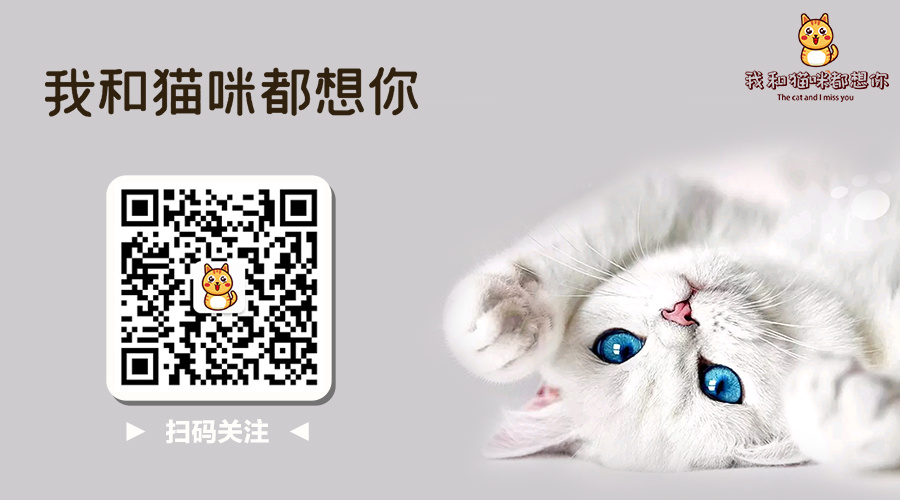 b6699fa090598ccbb1059d1bb24ff550-sz_209383.jpg